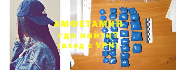 прущие грибы Балахна