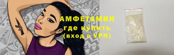 прущие грибы Балахна