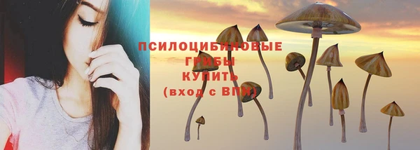 каннабис Белокуриха