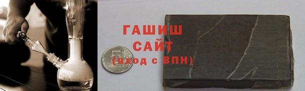 прущие грибы Балахна