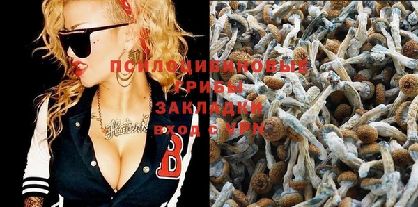 мяу мяу мука Баксан