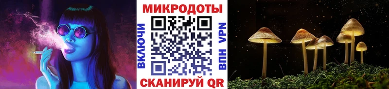 Псилоцибиновые грибы Psilocybe  магазин  наркотиков  ОМГ ОМГ зеркало  это какой сайт  Краснокаменск 